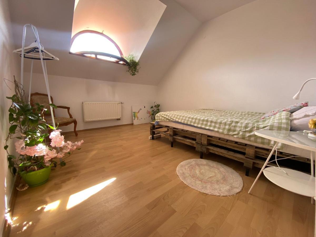 Zielone Zarabie Residence Мисленице Екстериор снимка